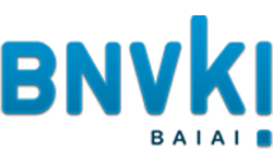 BNVKI logo